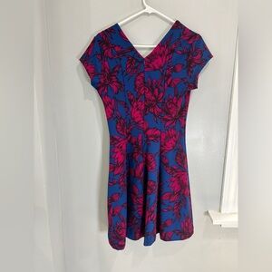 Banana Republic Floral Fit & Flare Dress Pink Blue Stretch V-Neck Size 4